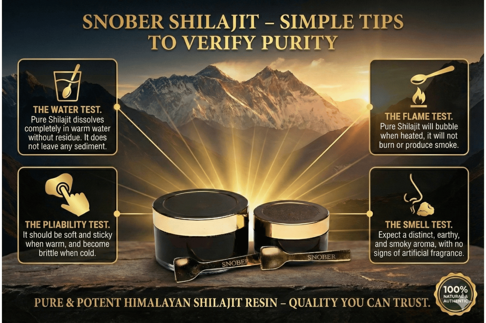 Untitled design (13)