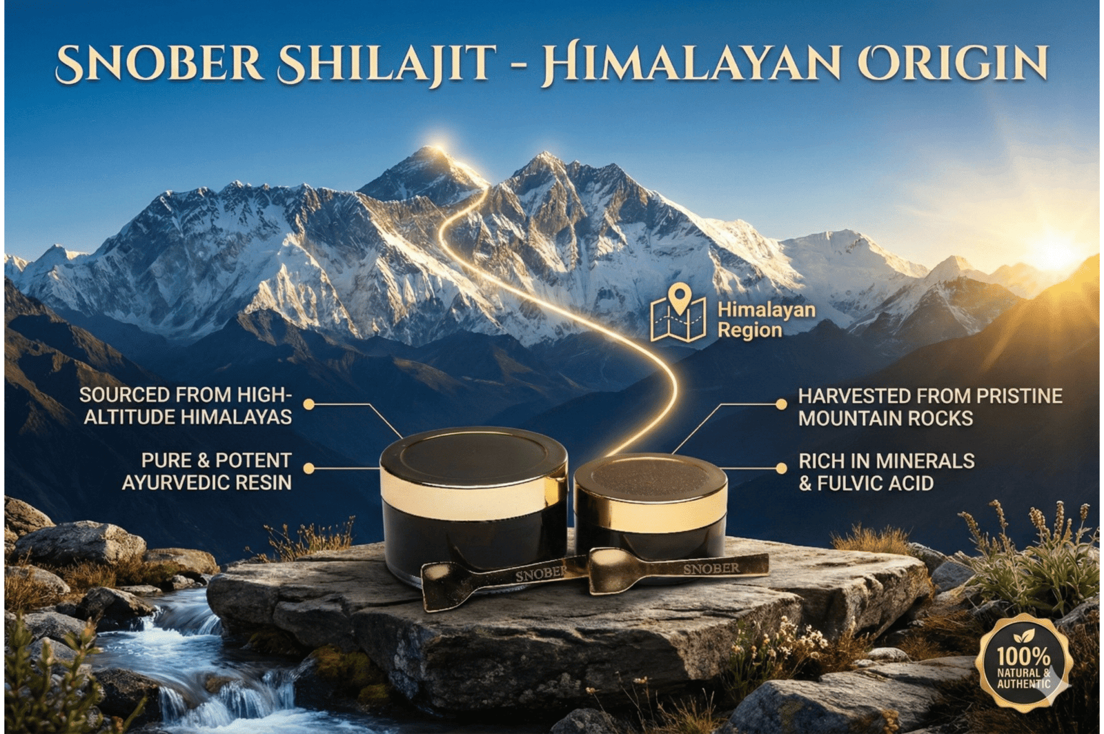 Untitled design (5) Snober Shilajit